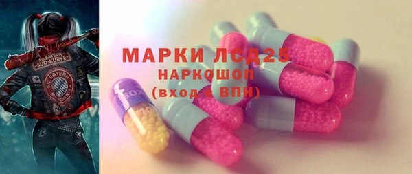 индика Алзамай