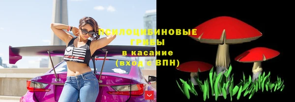 индика Абдулино
