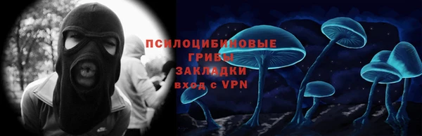 герыч Алексин