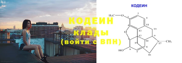 прущие грибы Алексеевка