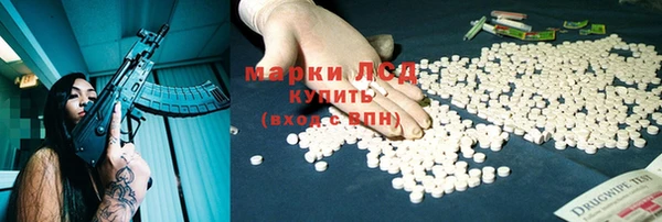 прущие грибы Алексеевка