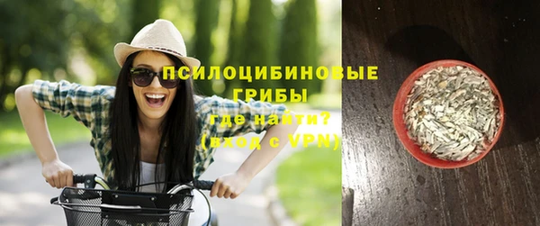 круглые Абаза